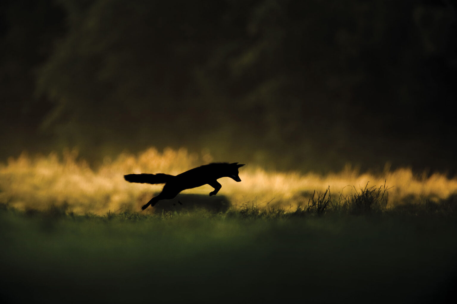 Brunet Jo L Phot Aubrac Festival De Photographie